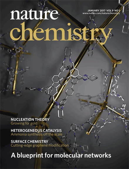 Nature Chemistry Cover Design